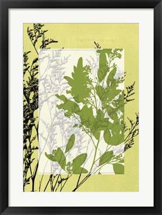 Framed Translucent Wildflowers IV Print