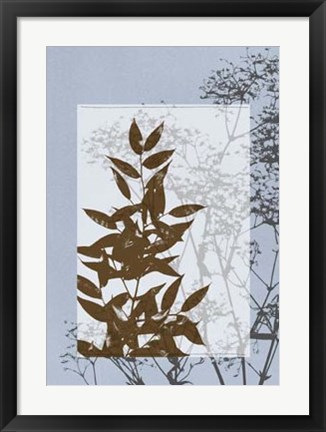 Framed Translucent Wildflowers V Print