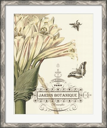 Framed Jardin Botanique II Print