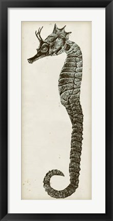 Framed Vintage Seahorse I Print