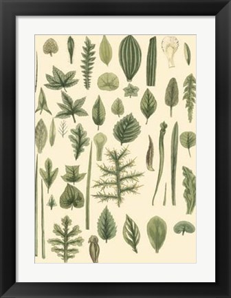 Framed Abundant Foliage I Print