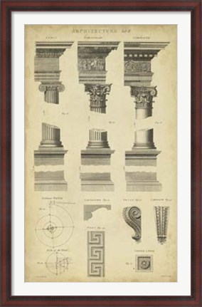Framed Encyclopediae III Print