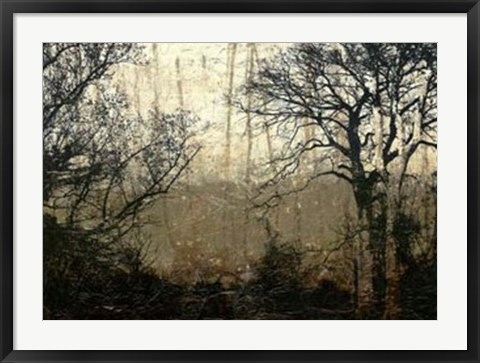Framed Wooded Solace II Print