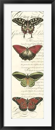 Framed Butterfly Prose Panel I Print