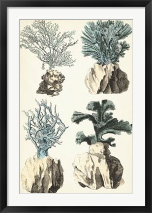 Framed Oversize Coral Species III Print