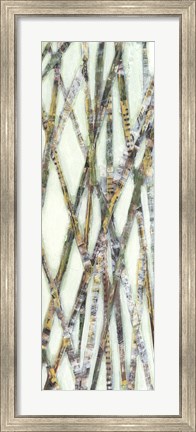 Framed Lemongrass IV Print
