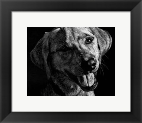 Framed Canine Scratchboard XXIII Print