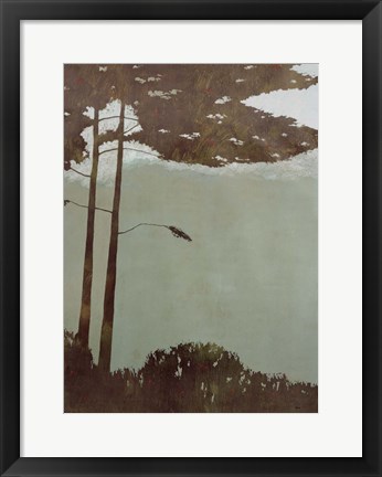 Framed Canopy Print