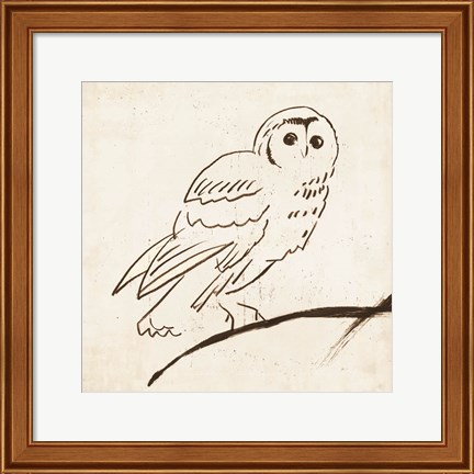 Framed Owl II Print