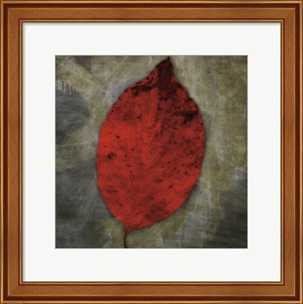 Framed Red Dogwood Print