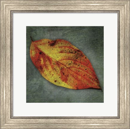 Framed Dogwood Yellow Print