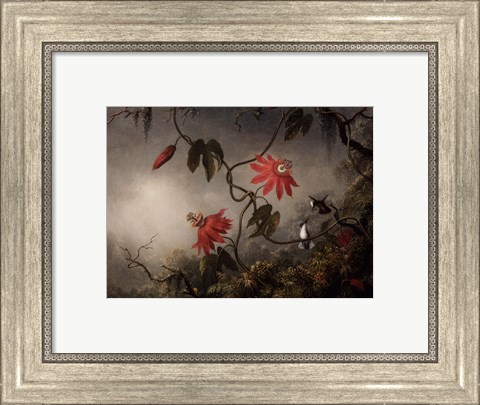 Framed Passion Flowers and Hummingbirds, about 1870-83 Print