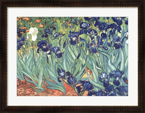 Framed Irises in the Garden Print