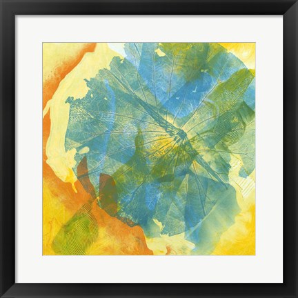 Framed Lotus Monotype II Print