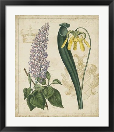 Framed Botanical Repertoire IV Print