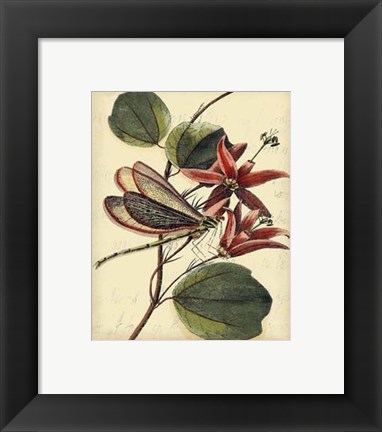 Framed Petite Dragonflies III Print