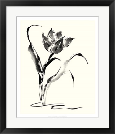 Framed Studies in Ink - Tulip Print