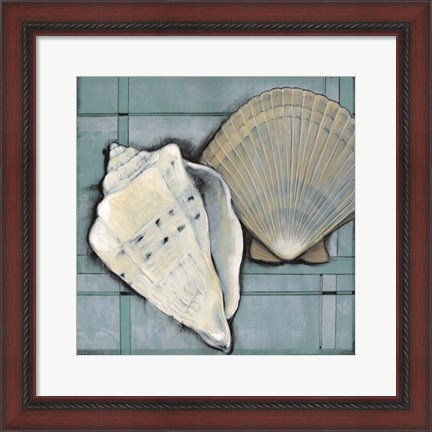 Framed Seashell Sketch II Print