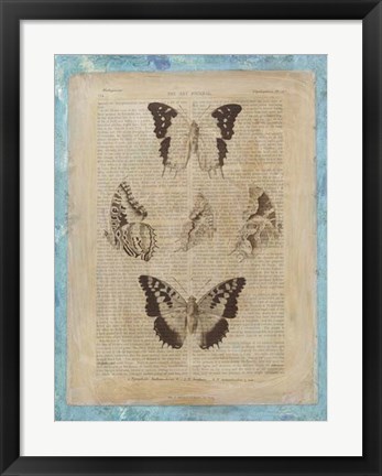 Framed Bookplate Butterflies IV Print