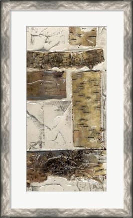 Framed Birch Bark Abstract II Print
