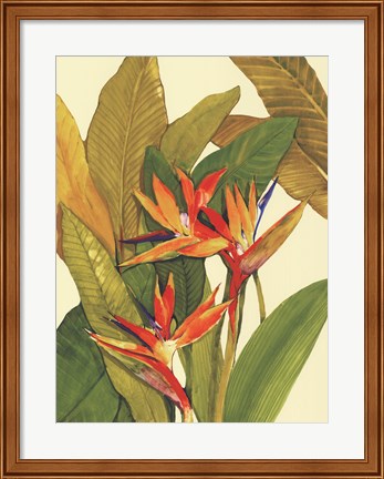 Framed Tropical Bird of Paradise Print