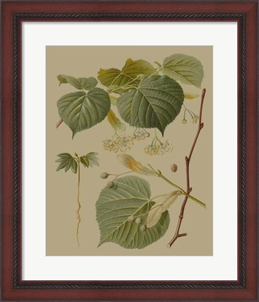 Framed Forest Foliage I Print