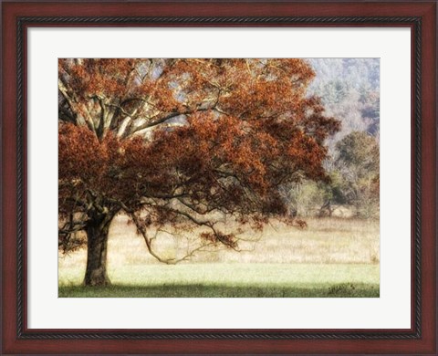 Framed Sunbathed Oak II Print