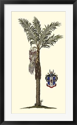 Framed Elongated Exotic Palm I Print