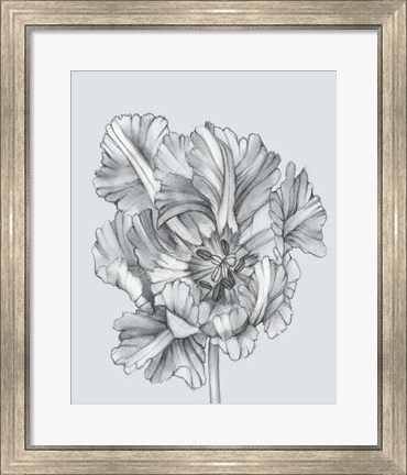 Framed Silvery Blue Tulips I Print