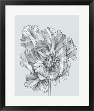 Framed Silvery Blue Tulips I Print