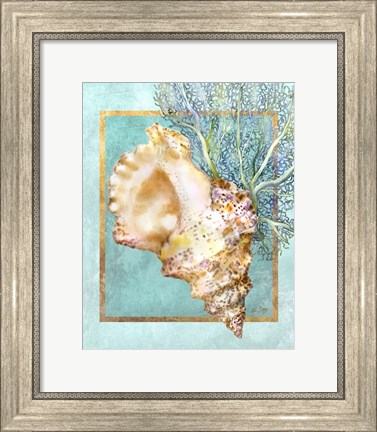 Framed Conch Shell and Coral Print