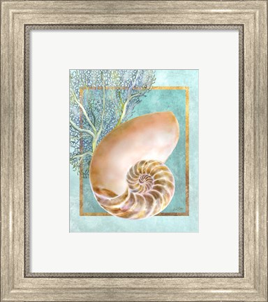 Framed Nautilus Shell and Coral Print