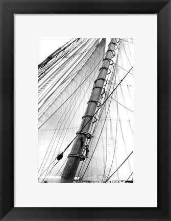 Framed Set Sail VI Print