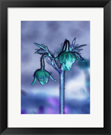 Framed Love Flowers I Print