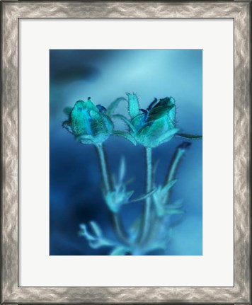 Framed Love Flowers III Print