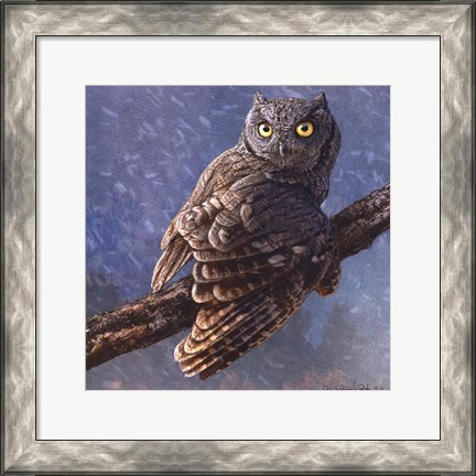 Framed Owl in Winter I Print
