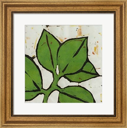 Framed Planta Green III Print