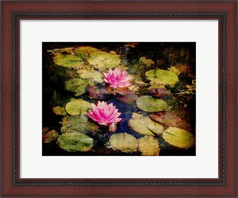 Framed Lily Ponds I Print