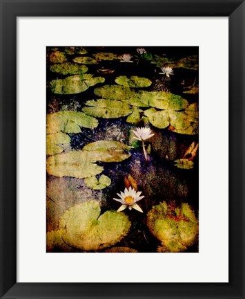 Framed Lily Ponds VIII Print