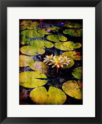 Framed Lily Ponds IX Print