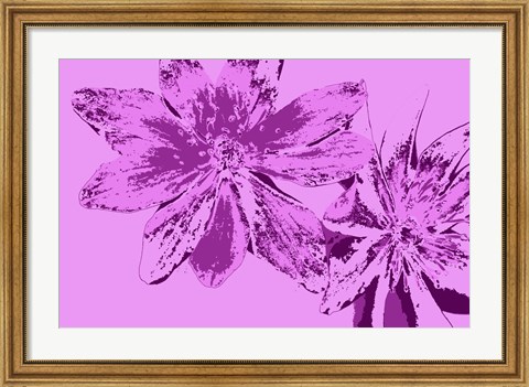 Framed Pink Anemone Print