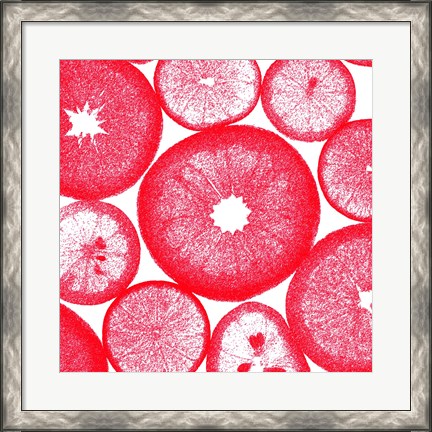 Framed Red Lemon Slices Print
