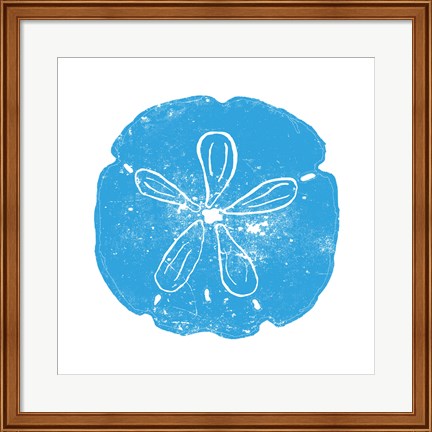 Framed Blue Sand Dollar Print