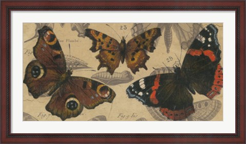Framed Bold Butterfly Panel I Print