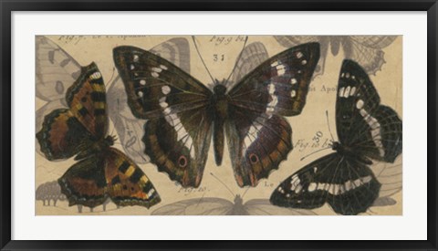 Framed Bold Butterfly Panel II Print