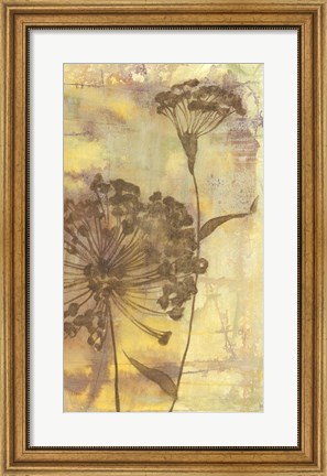 Framed Dandelion Dance II Print