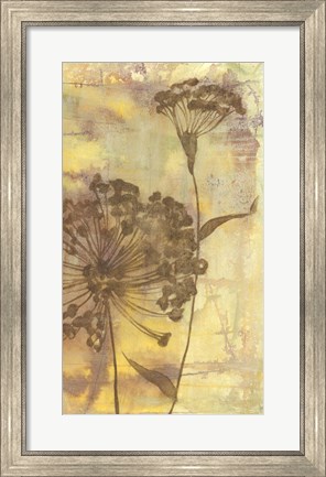 Framed Dandelion Dance II Print