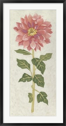 Framed Non-Embellished Dahlia II Print