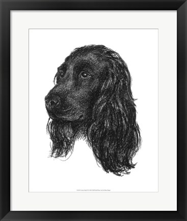 Framed Canine Study IV Print