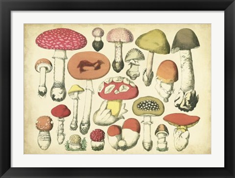 Framed Vintage Mushroom Chart Print